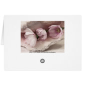 Drei rosa Kosmokarte (Rückseite Horizontal)