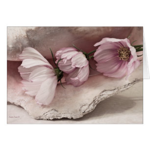 Drei rosa Kosmokarte