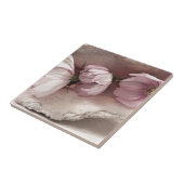 Drei rosa Kosmos Fliese (Seite)