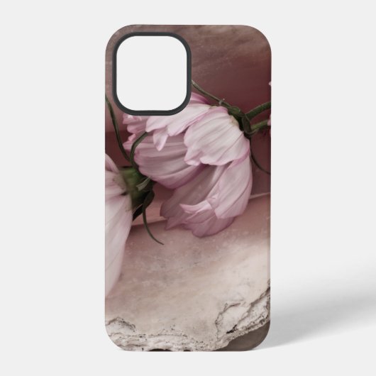 Drei rosa Kosmos iPhone Hülle (Rückseite)