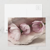 Drei rosa Kosmos Postkarte (Vorne/Hinten)