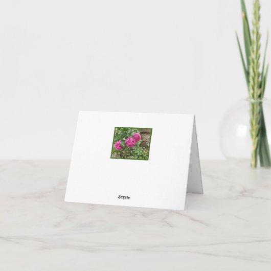 Drei rosa Rosen/Danke! (Rückseite)