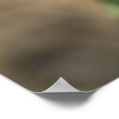 Drei rosa Rosen Poster (Ecke)