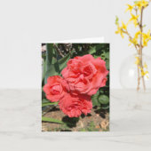 Drei rosa Roses Foto Karte (Gelbe Blume)