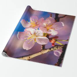 Drei rosa Sakura-Blüten Geschenkpapier