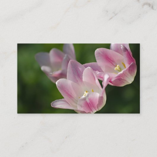 Drei rosa Tulpen Visitenkarte (Vorderseite)