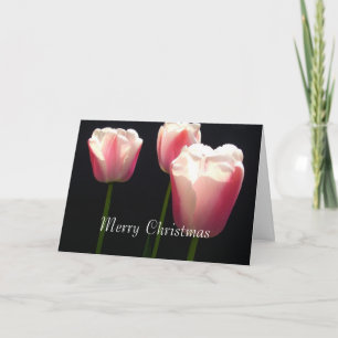 Drei rosa Tulpenblüten. Weihnachten, Feiertage. Feiertagskarte