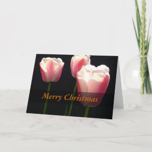 Drei rosa Tulpenblüten. Weihnachten, Feiertage. Feiertagskarte