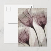 Drei rosa Vintage X-Ray-Blume Postkarte (Vorne/Hinten)