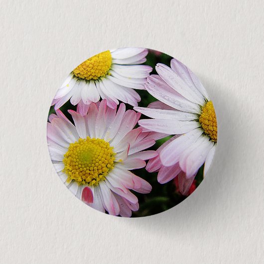 Drei rosa-weiße Gänse Button (Vorderseite)