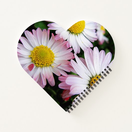 Drei rosa-weiße Gänse Notizblock (Rückseite)