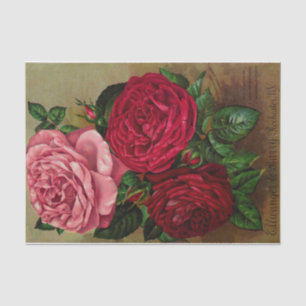 Drei Rose Blatt aus dem Katalog Seidenpapier