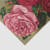 Drei Rose Blatt aus dem Katalog Seidenpapier (Ausschnitt)