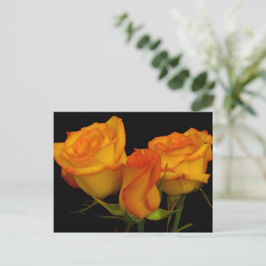 Drei Rose Postkarte (Stehend Vorderseite)