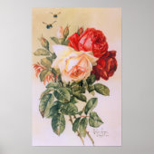 Drei Rose Vintage Poster (Vorne)