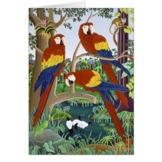 Drei rote Macaws