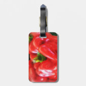Drei rote Paprika Gepäckanhänger (Rückseite vertikal)