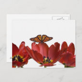 Drei rote Tulpen und ein Monarchen-Schmetterling g Postkarte (Vorne/Hinten)