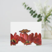 Drei rote Tulpen und ein Monarchen-Schmetterling g Postkarte (Stehend Vorderseite)