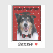 Drei Rough Collie Herzlichen Glückwunsch zum Absch