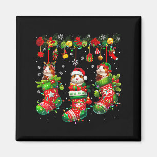 Drei Santa Reindeer Elf Guinea Gs in Weihnachtssoc Magnet