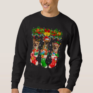 Drei Santa-Rentier-Elfen-Chihuahua-Hunde in Weihna Sweatshirt