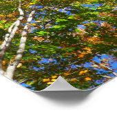 Drei Schattierungen von Ahornbäumen Poster (Ecke)