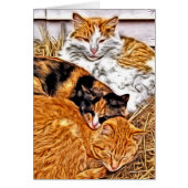 Drei schlaflose Katzen, unbedachter Jeden Anlaß (Vorne)