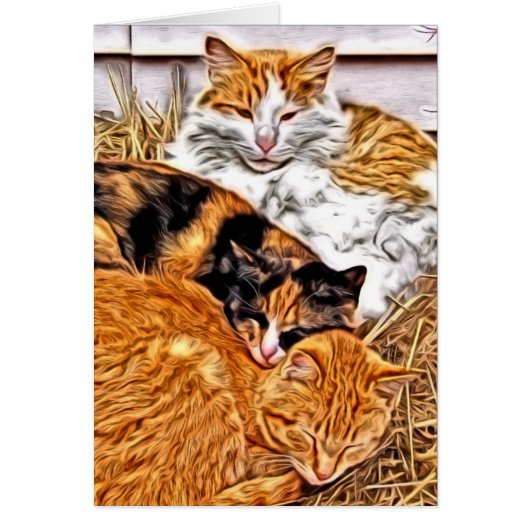 Drei schläfrige Katzen (Vorne)