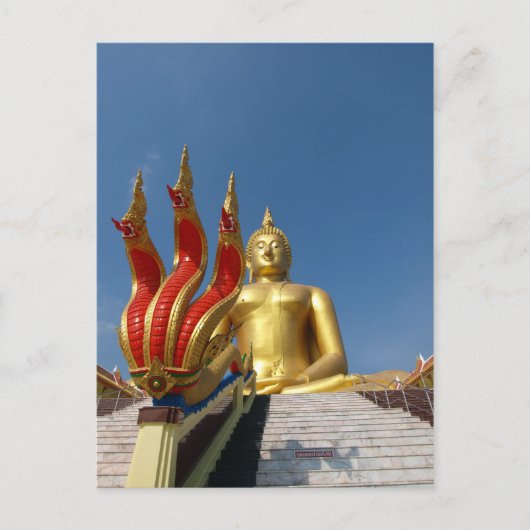 drei Schlangenköpfe Postkarte (Vorderseite)