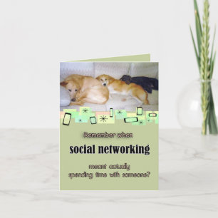 Drei schöne Hunde Geburtstags Grußkarte Karte