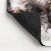 Drei schöne und niedliche Kätzchen Aquarellfarben Mousepad (Ecke)