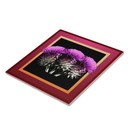 Drei schottische Disteln Fliese (Seite)