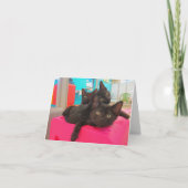 Drei schwarze Kätzchen Karte (Vorderseite)