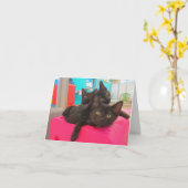 Drei schwarze Kätzchen Karte (Gelbe Blume)