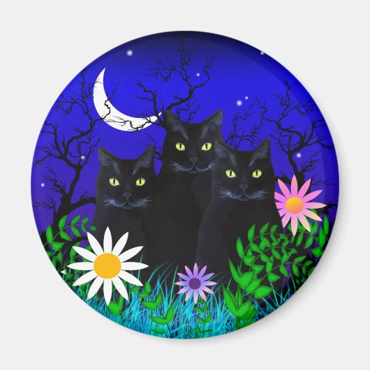 Drei schwarze Katzen im nächtlichen Magnet (Vorne)