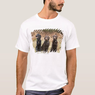 Drei schwarze Labrador-Retriever T-Shirt