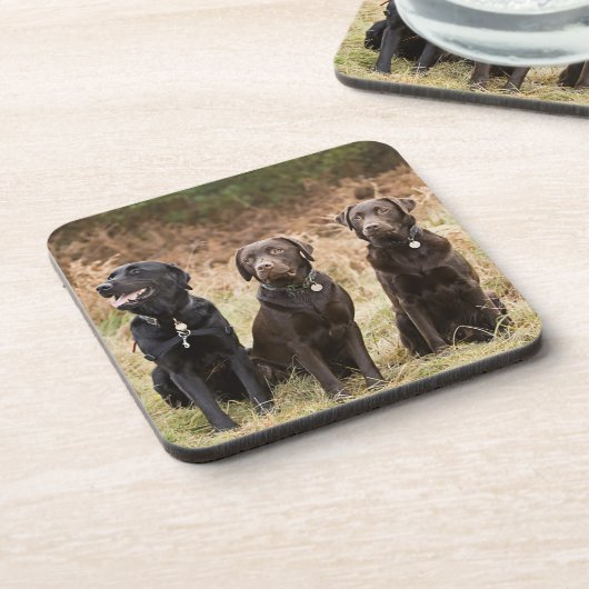 Drei schwarze Labrador-Retriever Untersetzer (Linke Seite)
