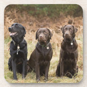 Drei schwarze Labrador-Retriever Untersetzer (Vorderseite)