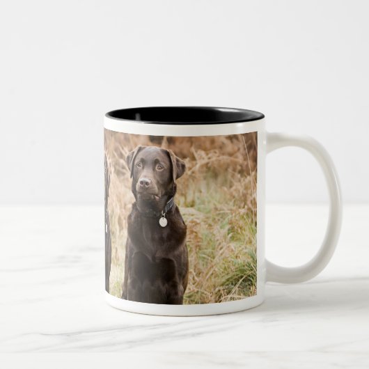 Drei schwarze Labrador-Retriever Zweifarbige Tasse (Rechts)