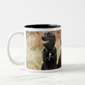 Drei schwarze Labrador-Retriever Zweifarbige Tasse (Links)