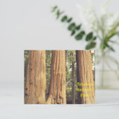 Drei Schwestern Postkarte (Stehend Vorderseite)