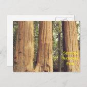 Drei Schwestern Postkarte (Vorne/Hinten)