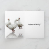 DREI SEBASTOPOL-GEESE AUF DER WEISSEN KARTE (Innenseite)