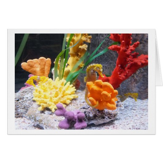 Drei Seepferde (Vorderseite (Horizontal))