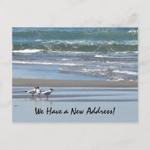 Drei Seeschwalben an einem Strand Postkarte