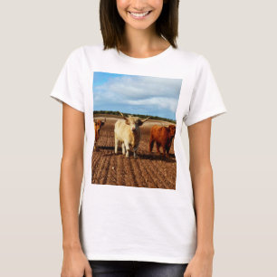 drei sehr schmutzige Hochlandkühe, T-Shirt