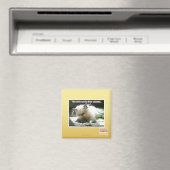 Drei Sekunden Magnet (In Situ (Geschirrspüler))
