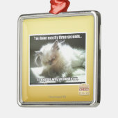 Drei Sekunden Silbernes Ornament (Links)