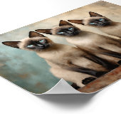 Drei siamesische Katzen Poster (Ecke)
